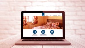 Professional Website Design